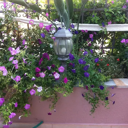 Starlight 2* Skala (Kefalonia)